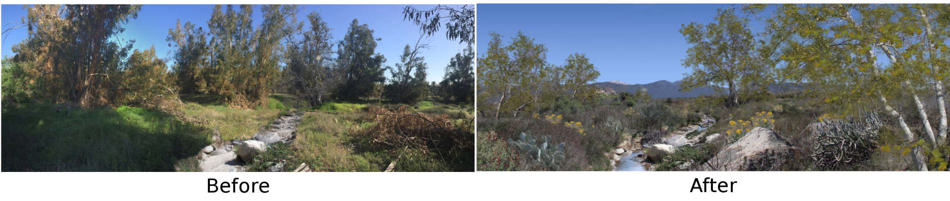 Before And After — San Bernardino, CA — Richard Pope & Associates