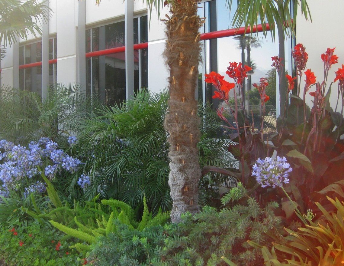 Closer Look Of Flowers And Trees — San Bernardino, CA — Richard Pope & Associates