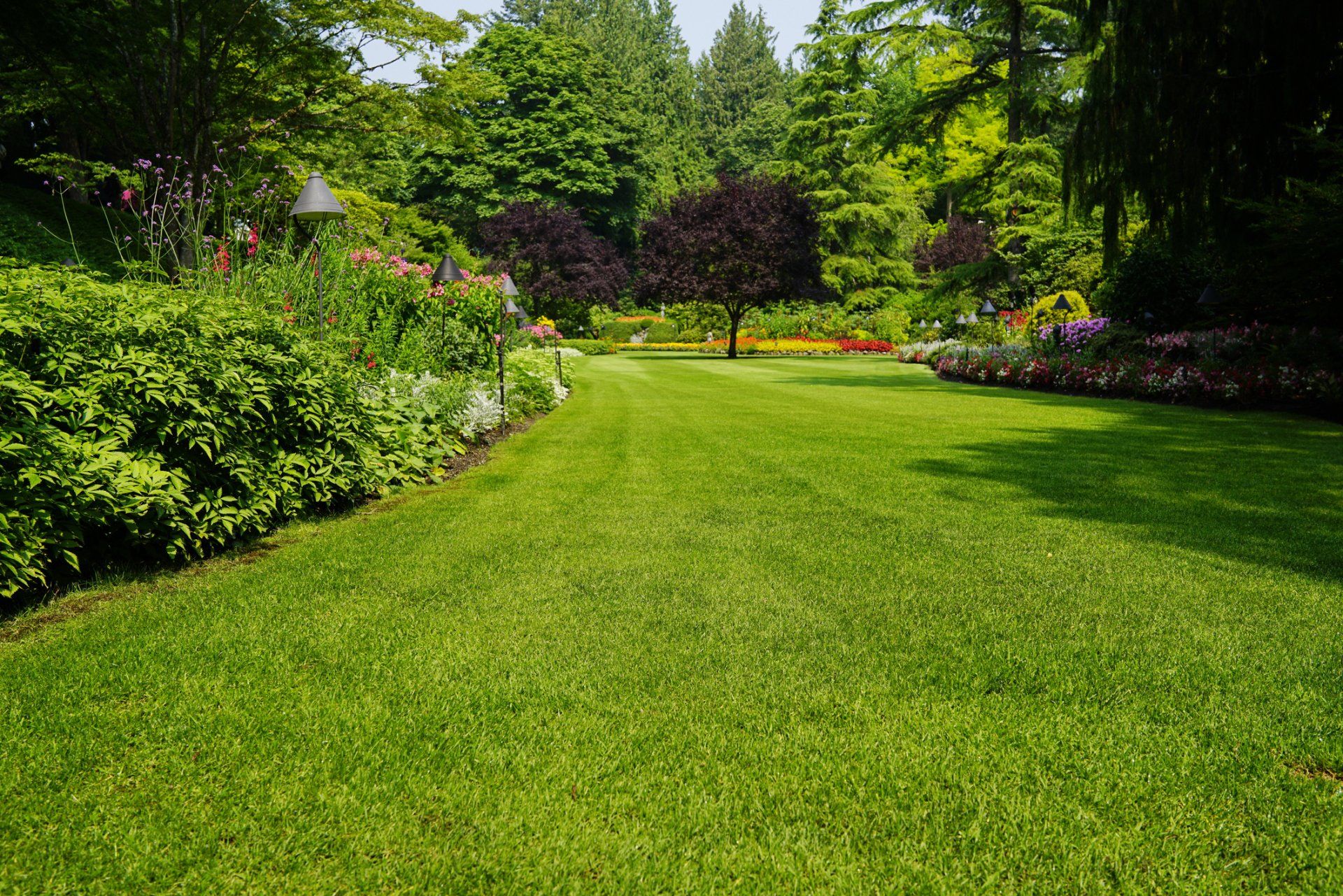 Amazing Lawn — San Bernardino, CA — Richard Pope & Associates