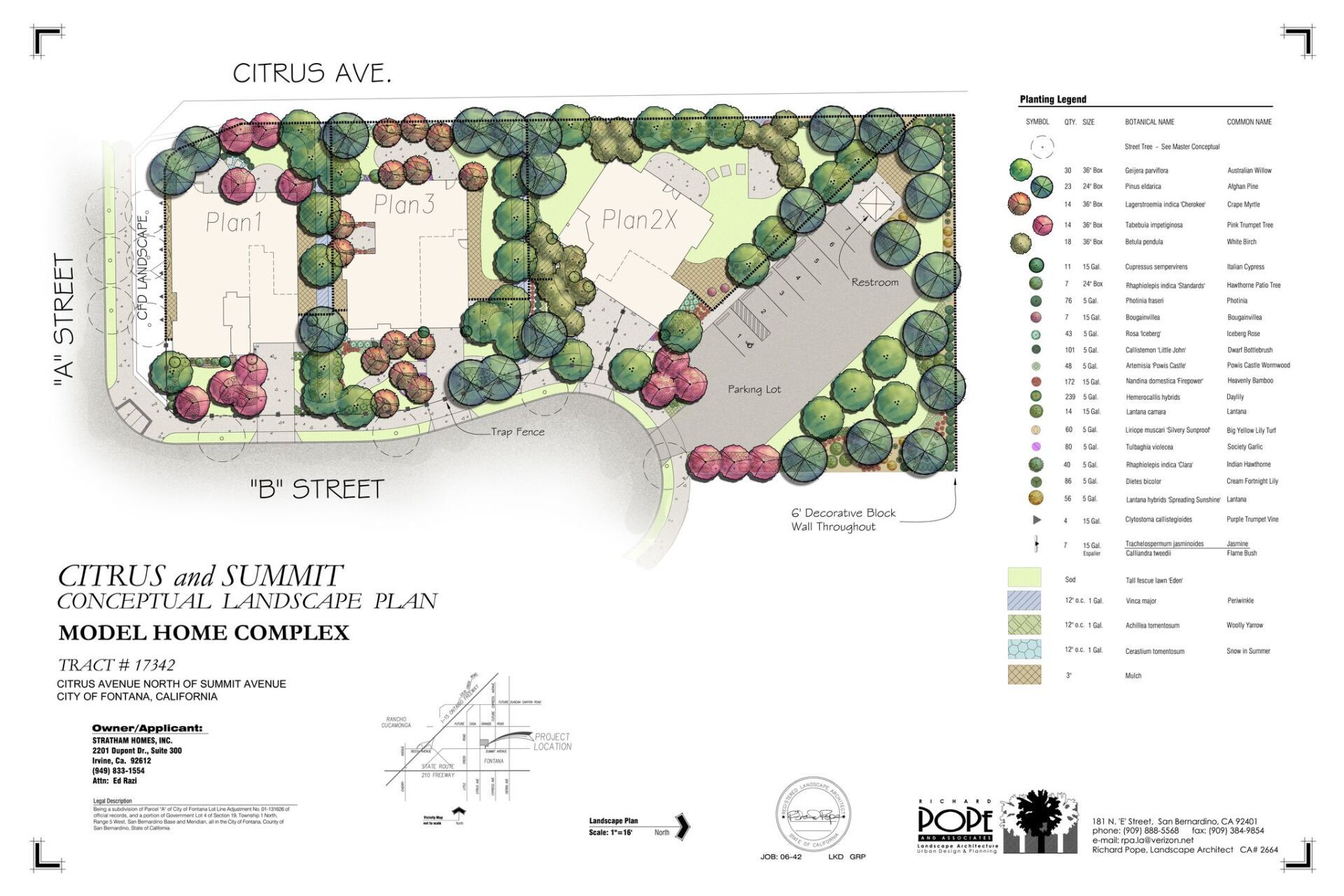 Trees And Mountain — San Bernardino, CA — Richard Pope & Associates