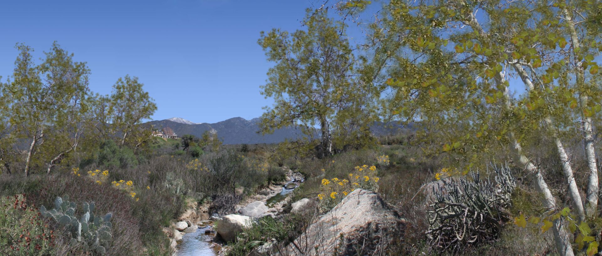 Beautiful Nature — San Bernardino, CA — Richard Pope & Associates