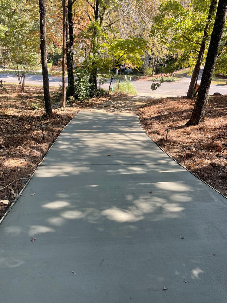 A concrete walkway surrounded by trees in a park.