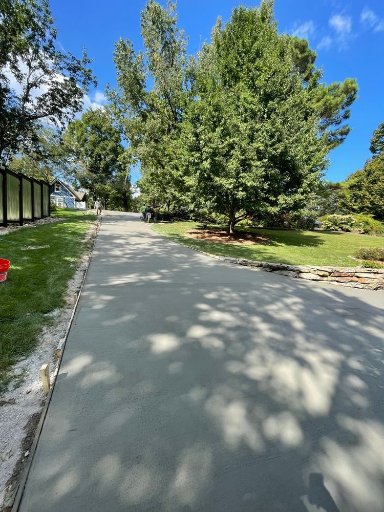 A concrete driveway with trees on the side of it
