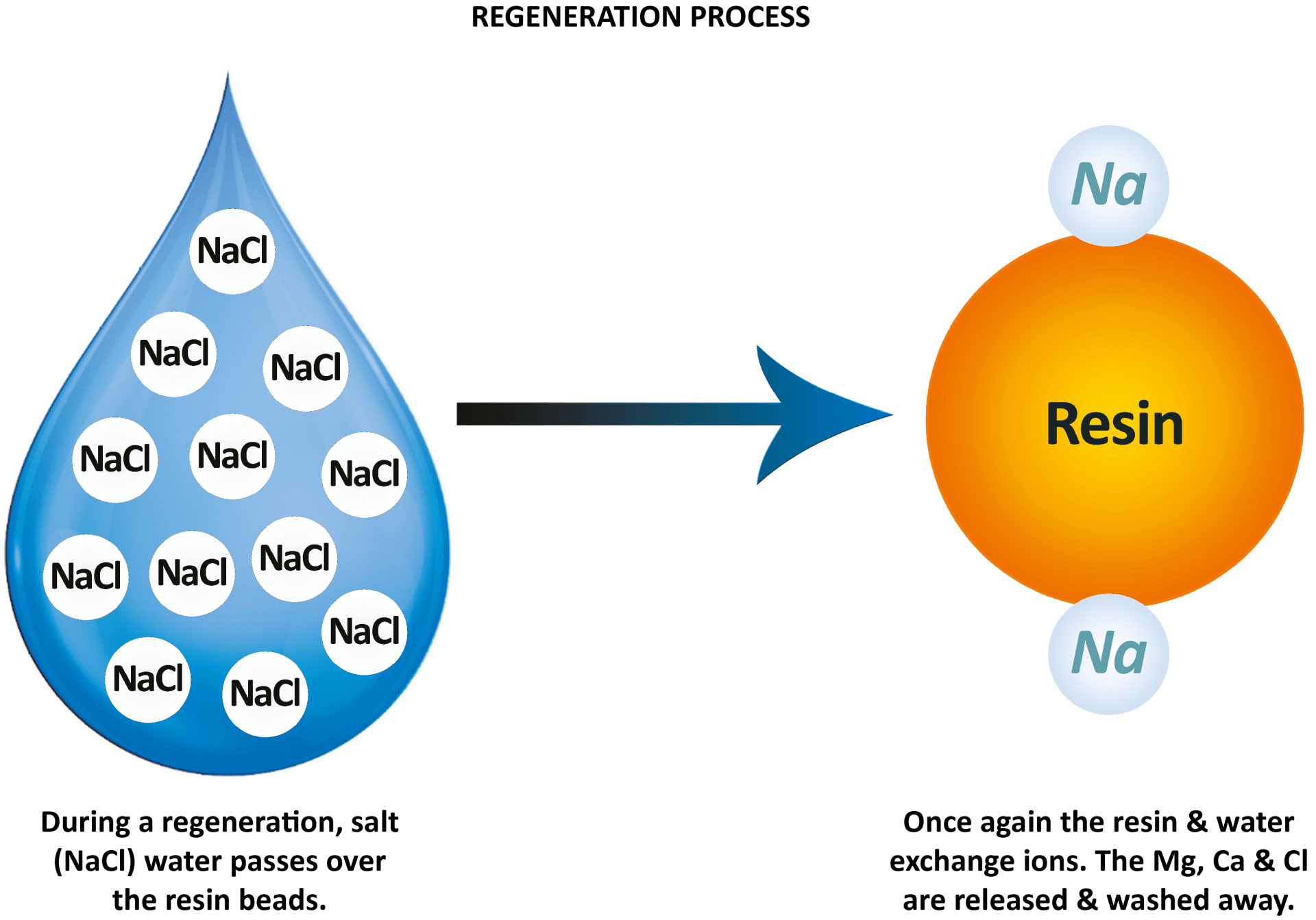 regeneration process diagram