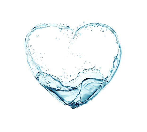 Heart water