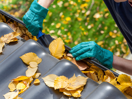 gutter filled with leaves and a cleaner is removing them