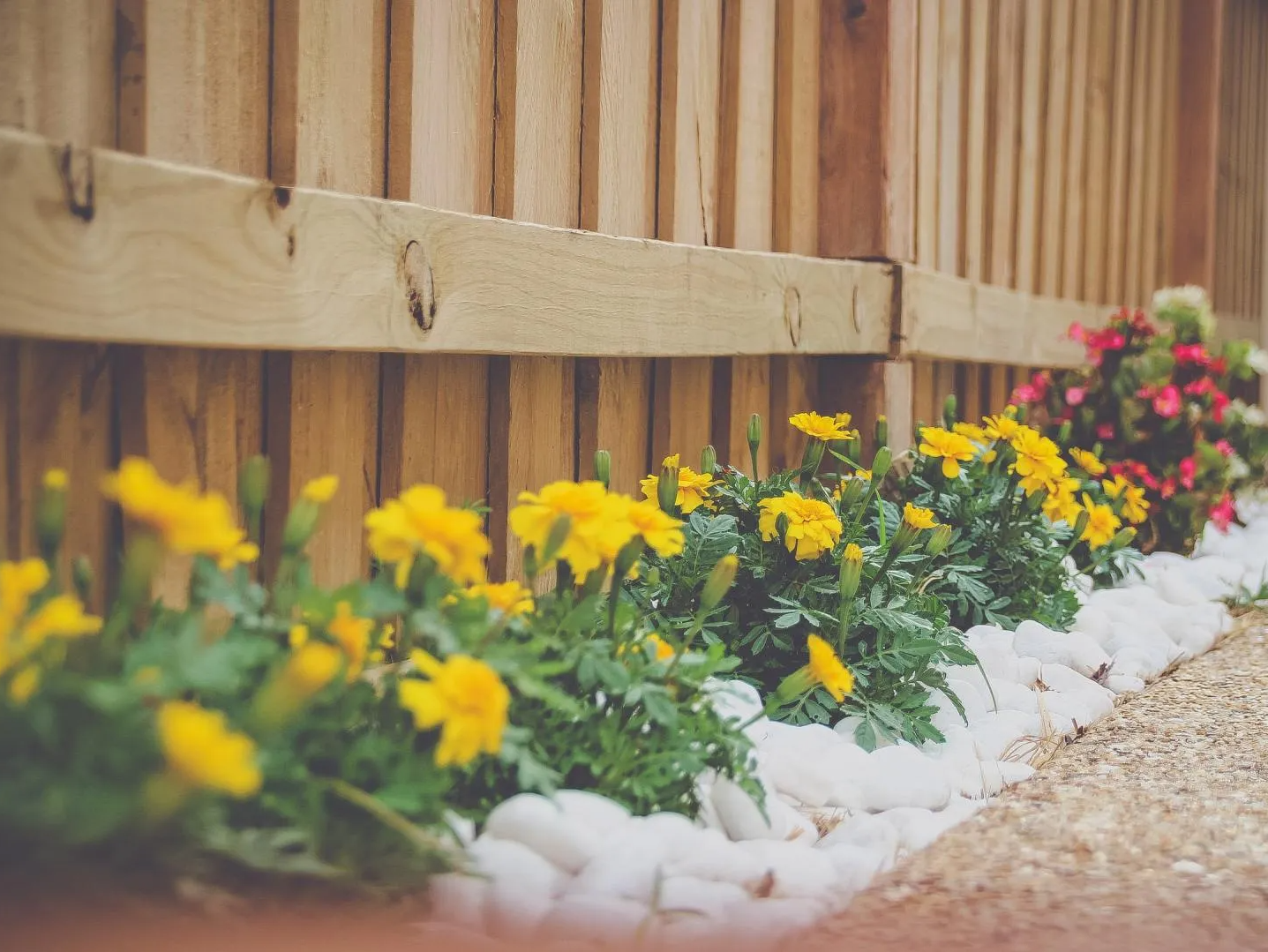 Flowers next to a wooden fence for Fred's Lawn Care, NJ.
