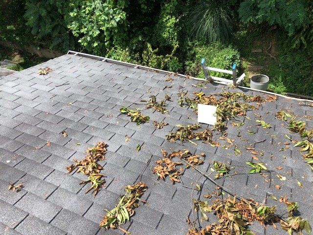 Roofers — Leaves on Roof in Cranberry Township, PA