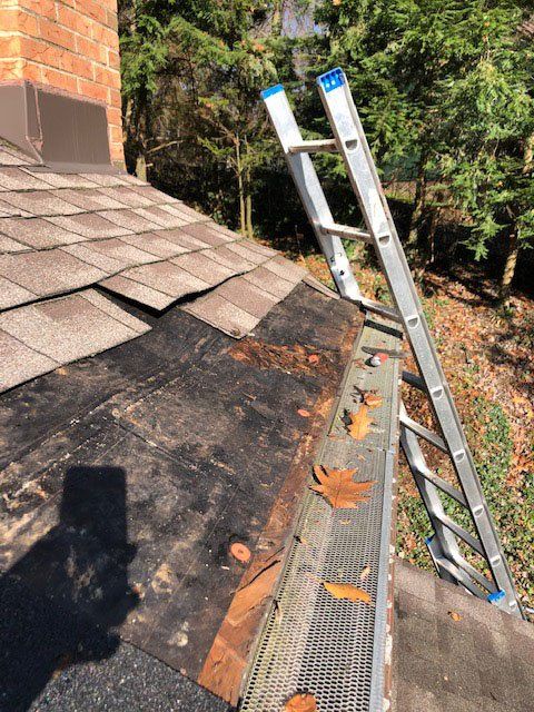 Roofing — Damaged Shingles in Cranberry Township, PA