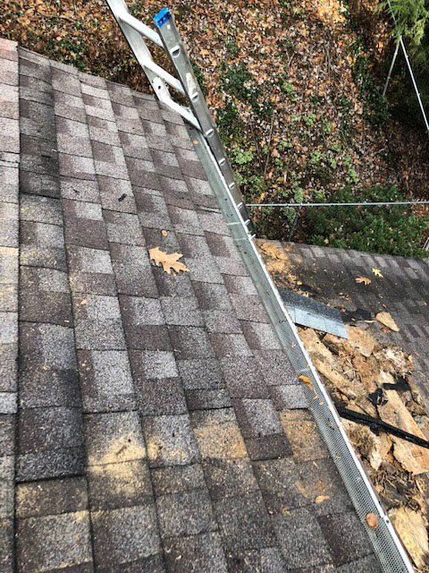 Roofing — Damaged Shingles in Cranberry Township, PA