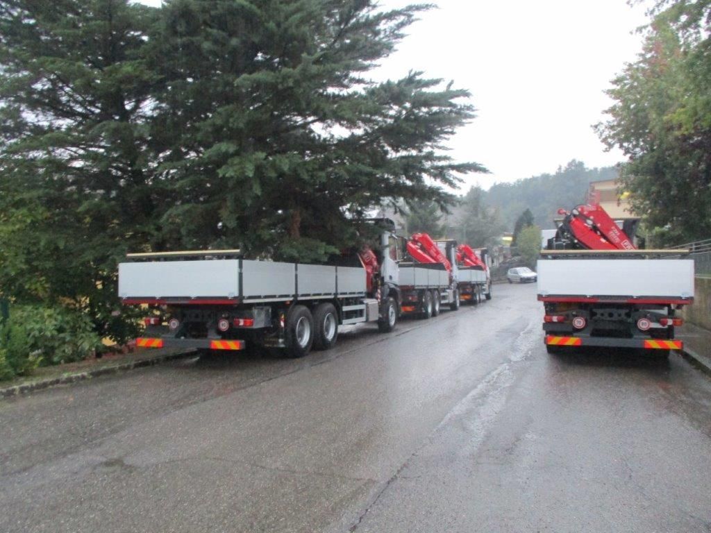 Una fila di camion con gru rosse parcheggiati su una strada bagnata fiancheggiata da alberi.