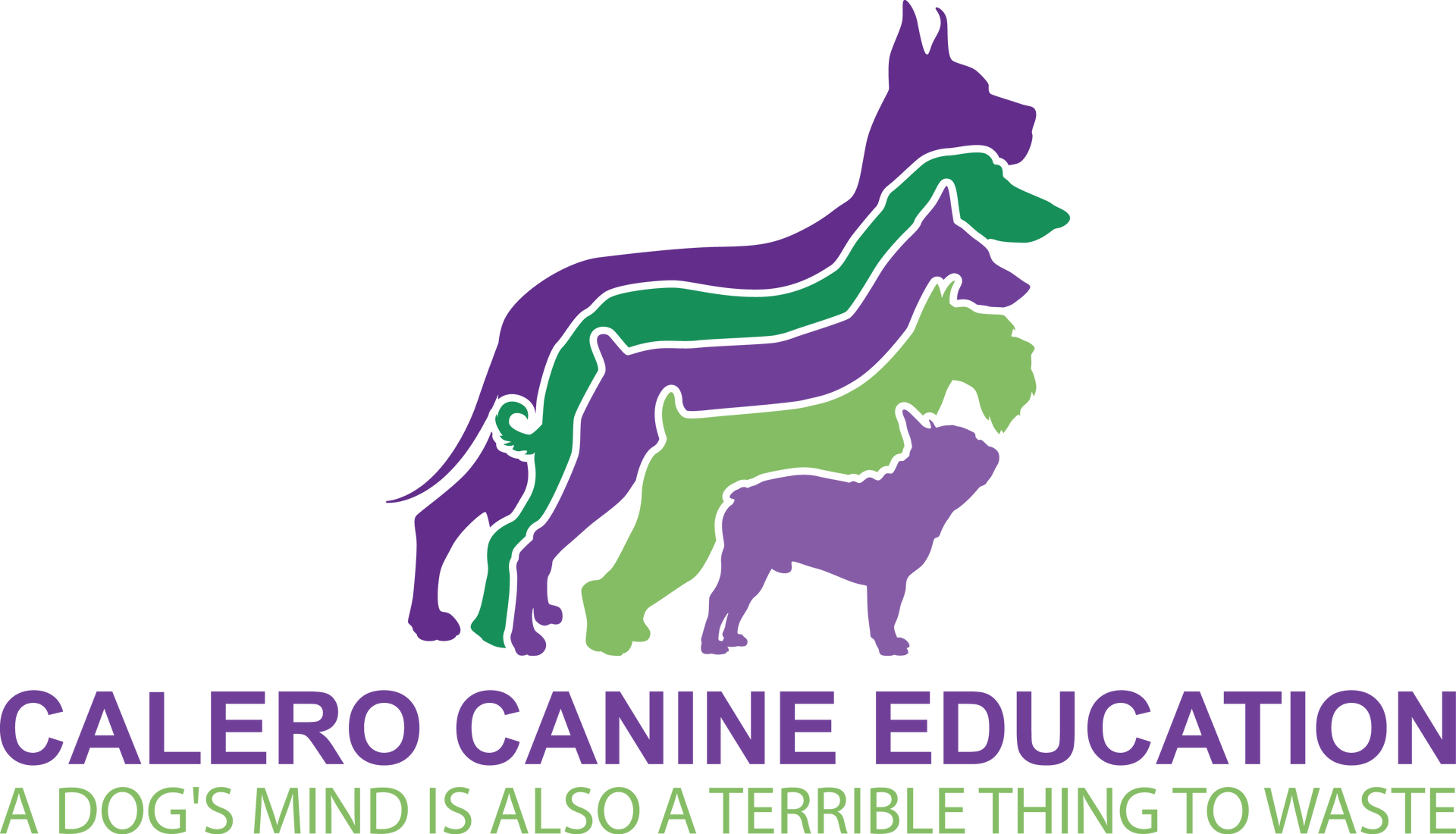 Calero Canine Education