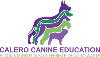 Calero Canine Education