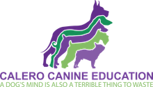 Calero Canine Education