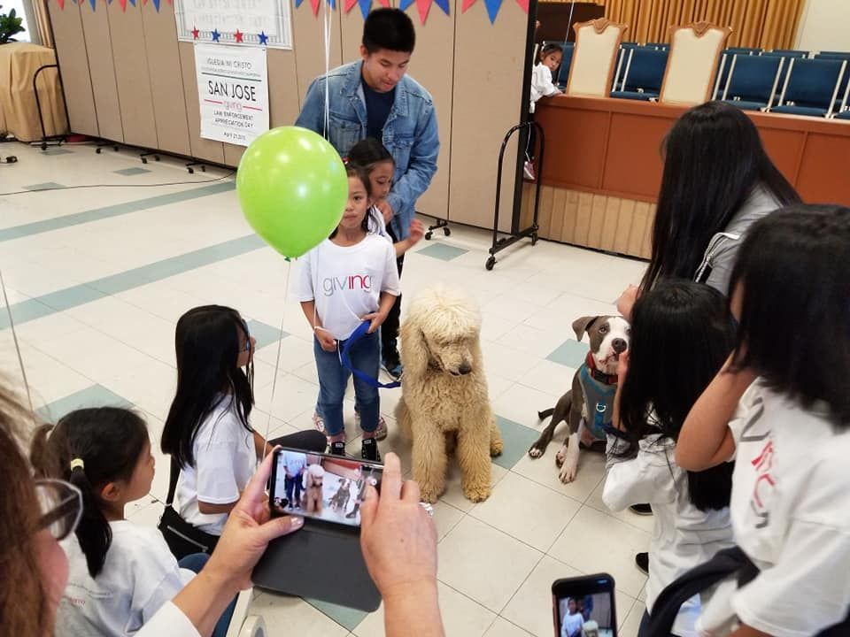 Children pose with dogs, holding balloons and taking pictures in a room with decorations.