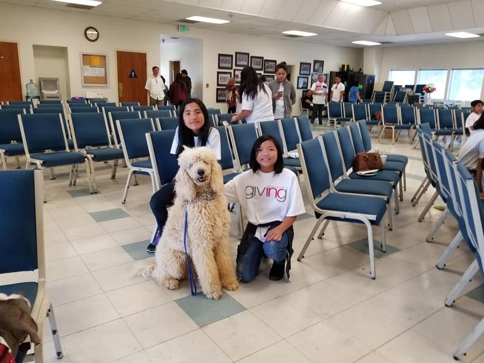 Two girls and a poodle in a room full of blue chairs; one girl kneels. People mill about in the background.