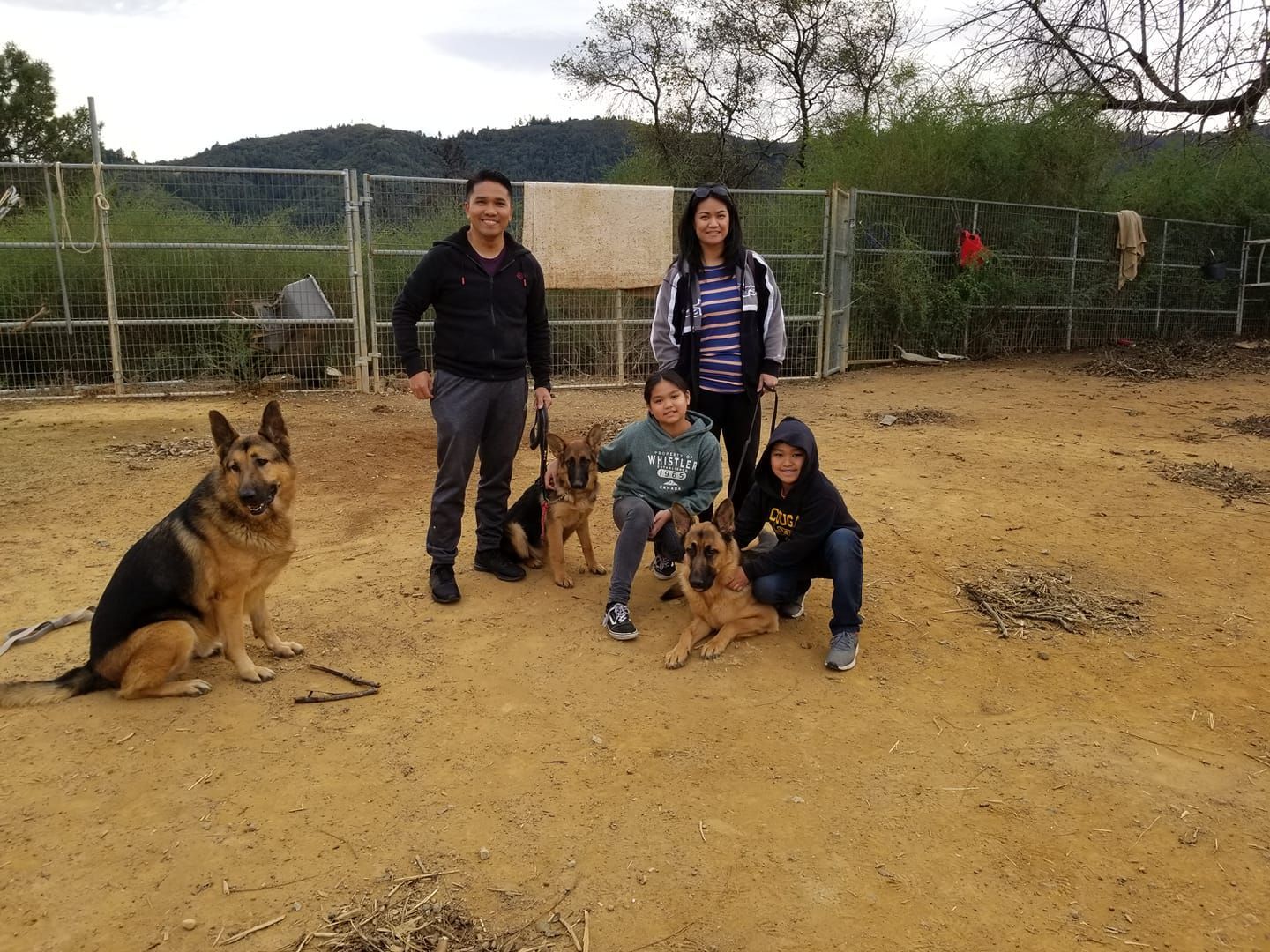 4 Reasons to Get a Dog Trainer