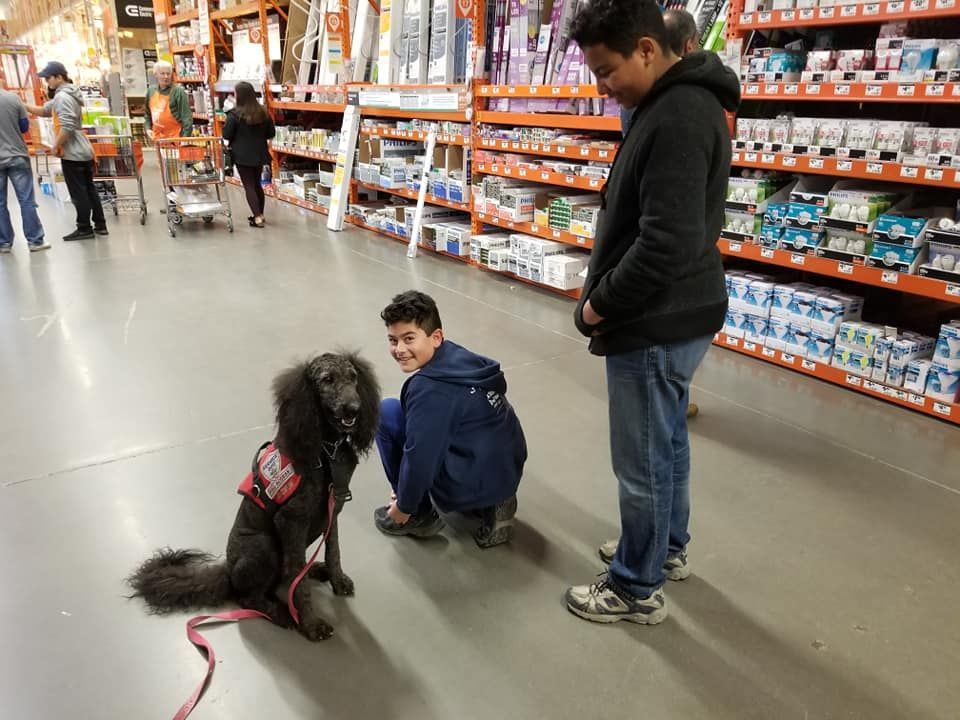 A black poodle wearing a service vest sits in a hardware store, facing a boy. A man looks down at them.