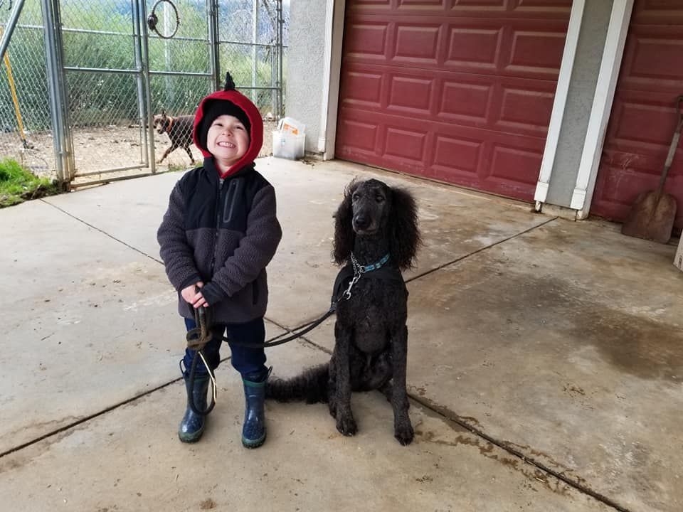 A child in a hooded jacket stands with a black poodle, both facing the camera on a concrete patio.