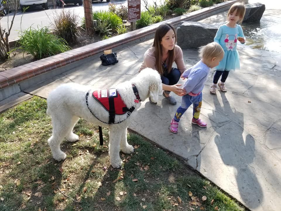 A white dog in a service vest stands near a woman and two children by a body of water.