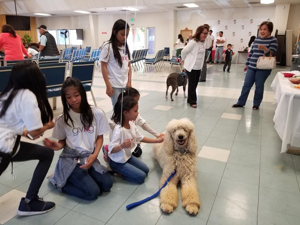 Children petting a large, cream-colored poodle on a leash indoors, others watch.