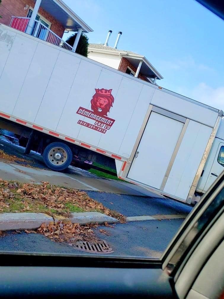 Camion de déménagement blanc garé sur une colline escarpée, logo d'un lion.