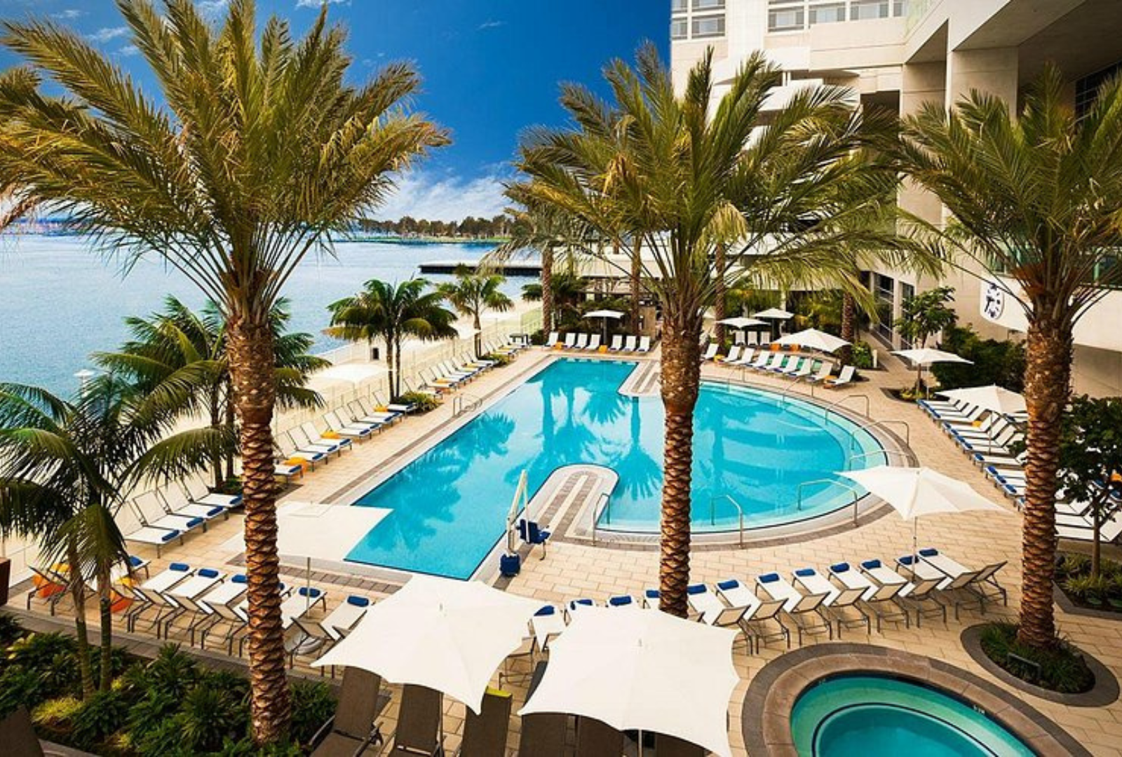 A turquoise swimming pool surrounded by palm trees, lounge chairs, and white umbrellas next to a waterfront building.