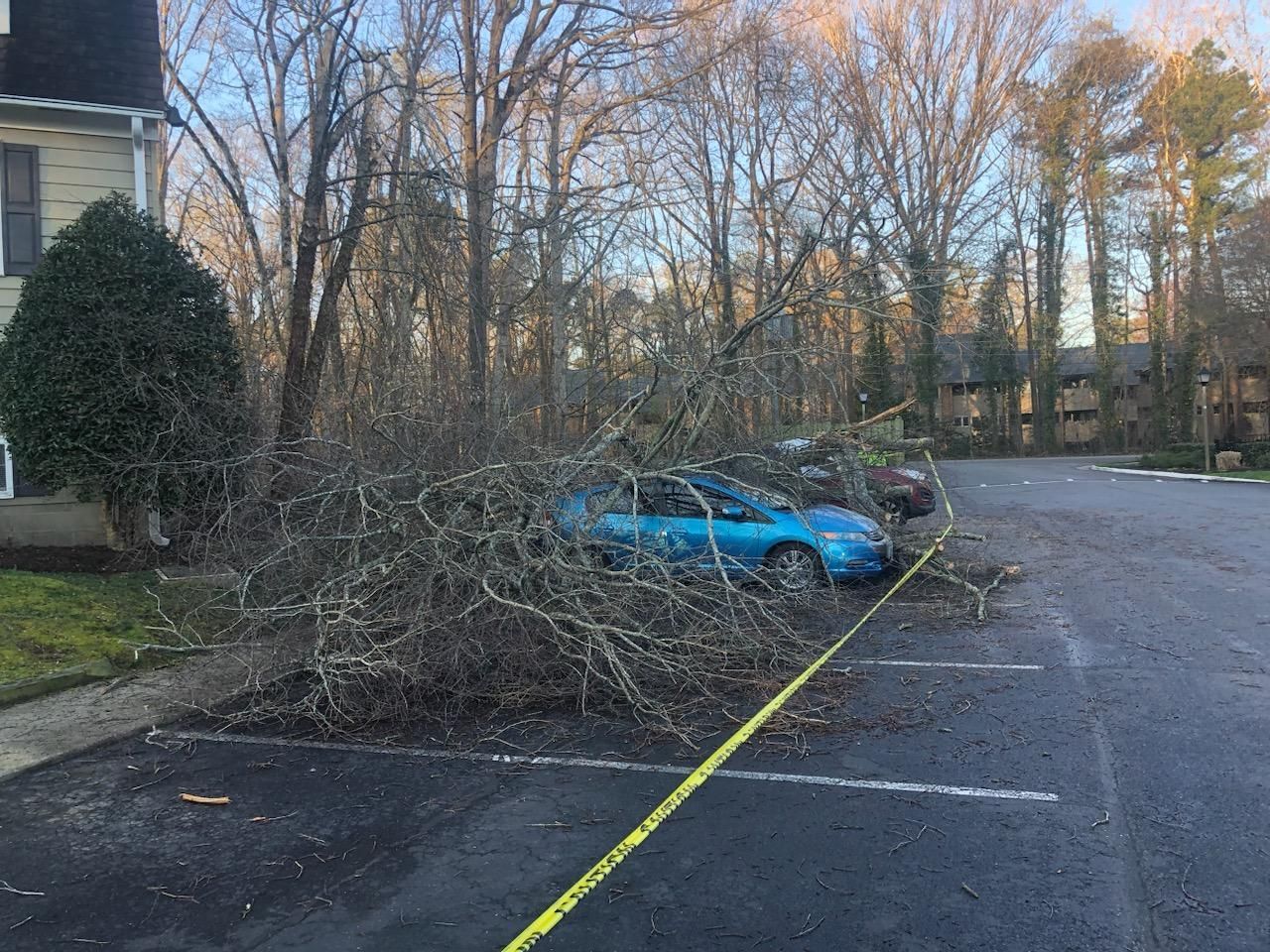 Blue Car Parked in a Parking Lot - Charles City, VA - Bottoms Bridge Tree Service