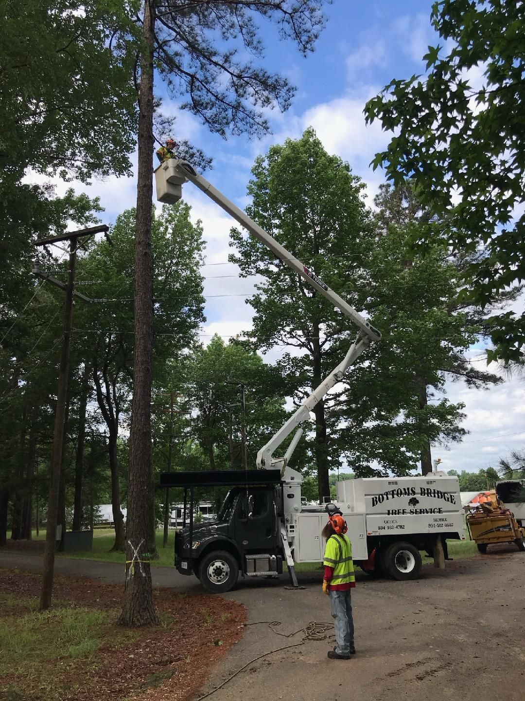 Man Standing Next to a Truck - Charles City, VA - Bottoms Bridge Tree Service