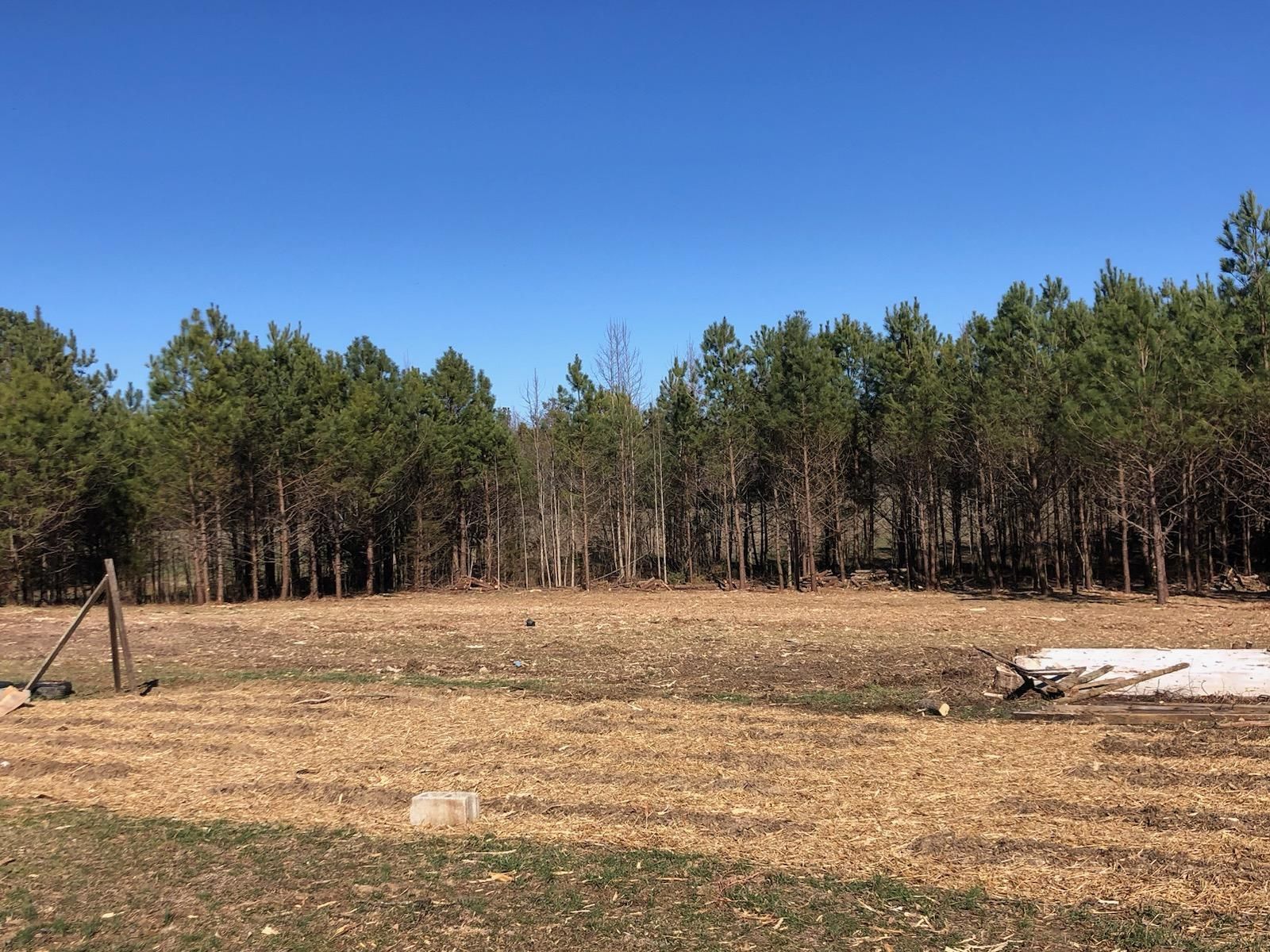Field with Trees - Charles City, VA - Bottoms Bridge Tree Service