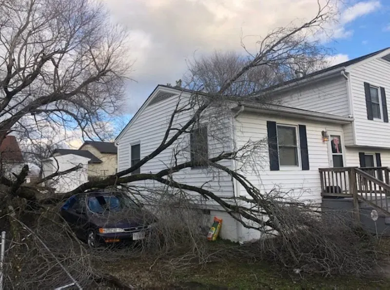 Tree Fallen After Storm Onto Car - Charles City, VA - Bottoms Bridge Tree Service