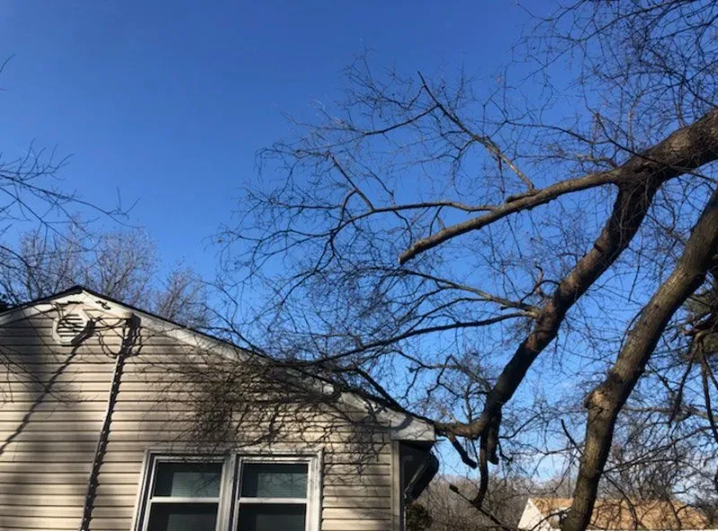 Tree Branches Hit On The Roof House - Charles City, VA - Bottoms Bridge Tree Service