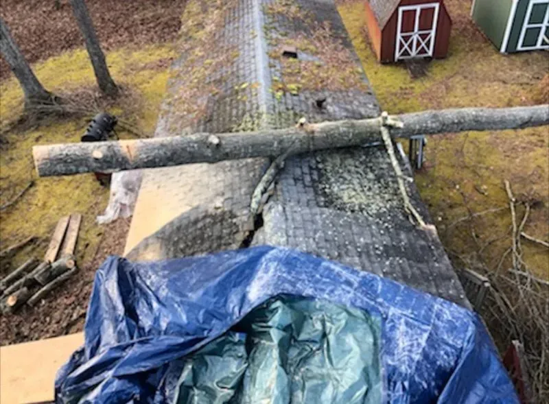 Tree Falls On The Roof - Charles City, VA - Bottoms Bridge Tree Service