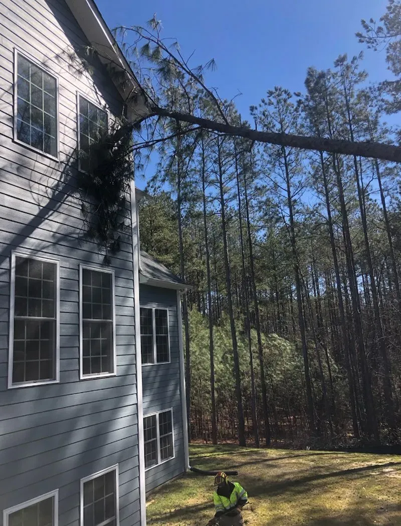 Fallen Tree Branch Damages House - Charles City, VA - Bottoms Bridge Tree Service