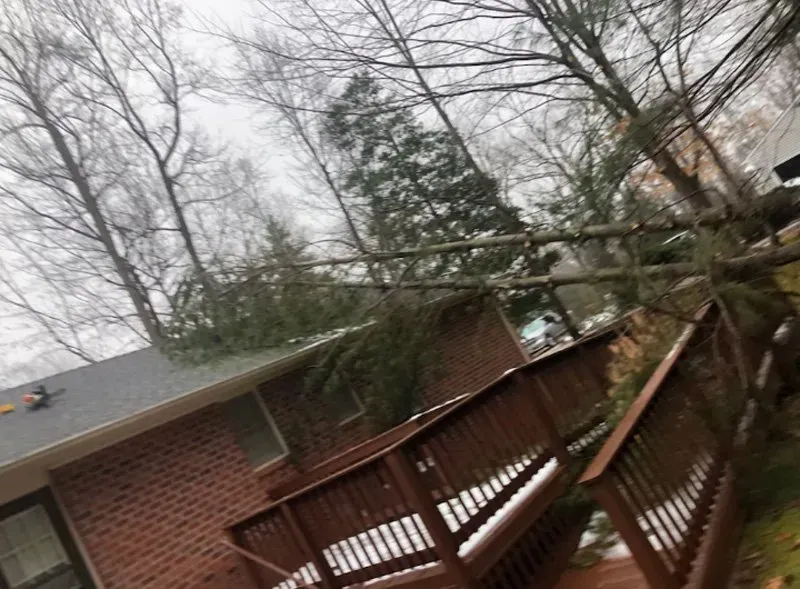Tree Fallen After Storm Onto House - Charles City, VA - Bottoms Bridge Tree Service