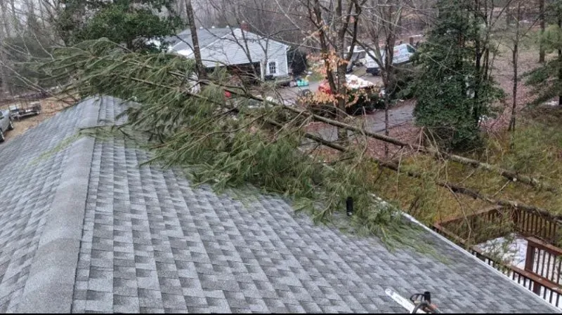 Storm Damage - Charles City, VA - Bottoms Bridge Tree Service
