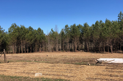 Lot & Land Clearing - Charles City, VA - Bottoms Bridge Tree Service Inc 