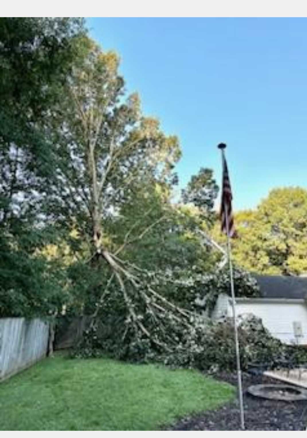 A fallen tree in a backyard next to a flag pole.