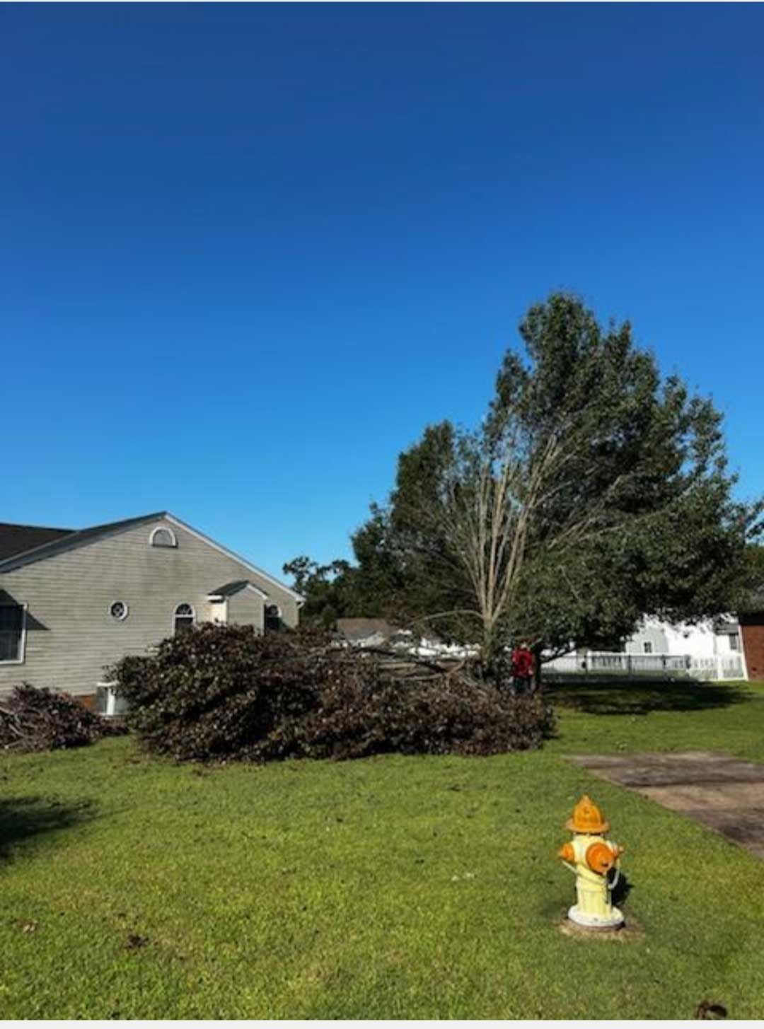 A fire hydrant is in the grass in front of a house.