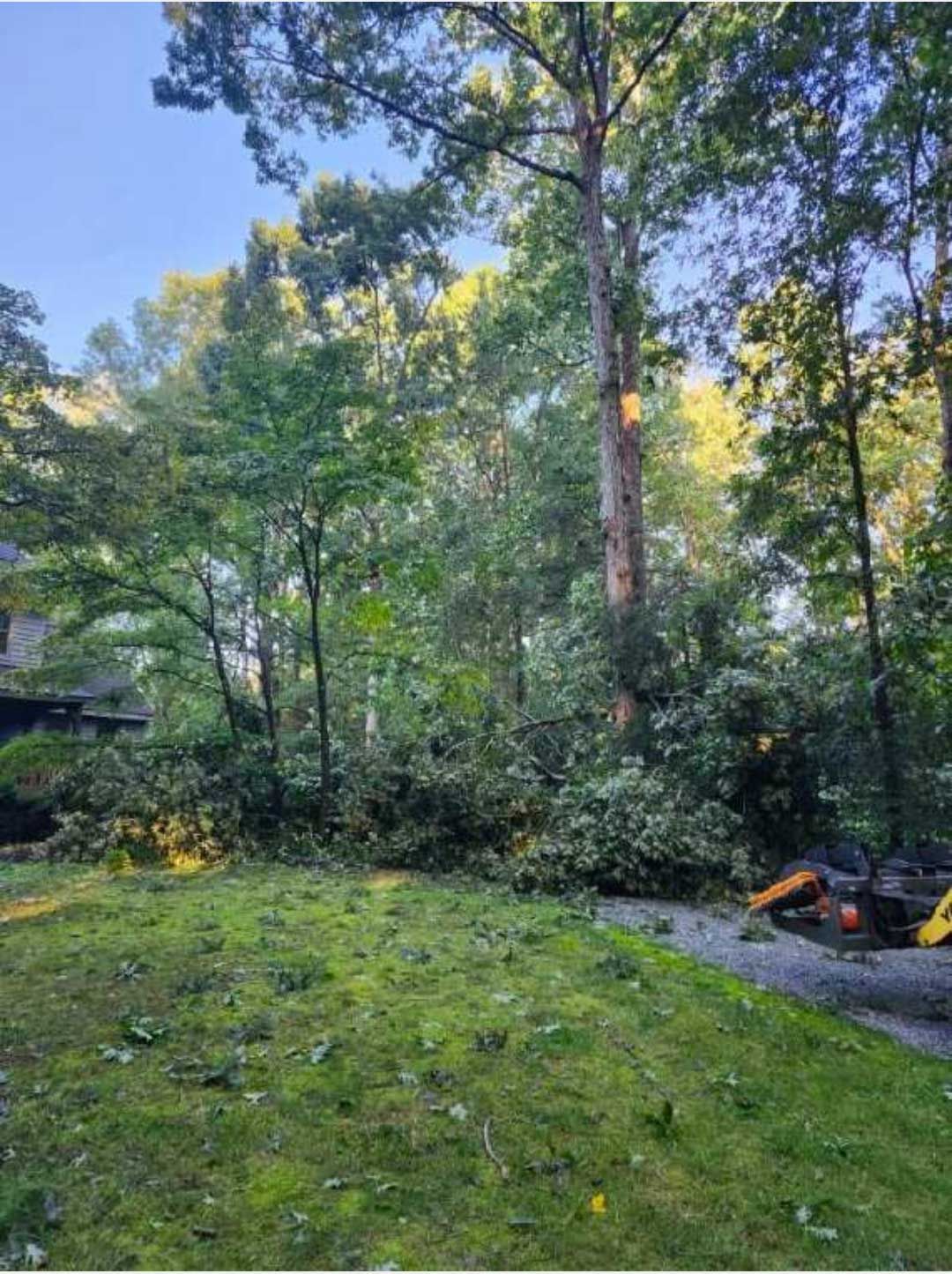 A lawn with a lot of trees in the background and a house in the background.