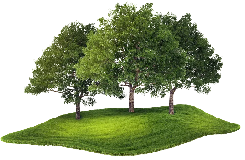 Island With Forest Floating In The Air - Charles City, VA - Bottoms Bridge Tree Service