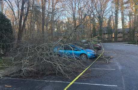 Emergency Storm Damage Cleanup - Charles City, VA - Bottoms Bridge Tree Service Inc 