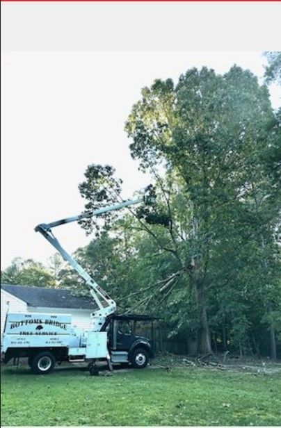 A tree cutting truck is cutting a tree in a yard.