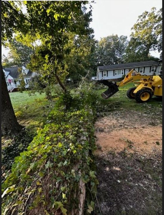 A yellow tractor is cutting down a tree in a yard.