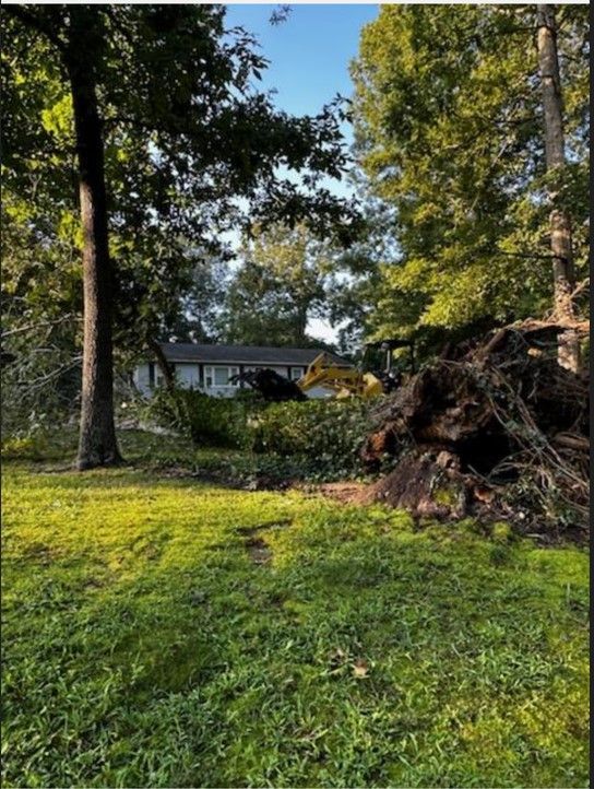 A fallen tree in a yard with a house in the background