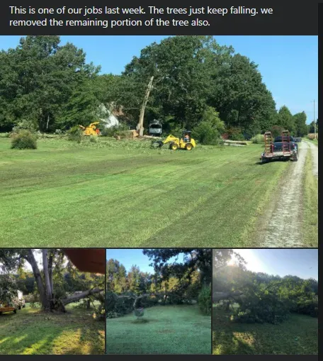 The Trees Just Keep Falling - Charles City, VA - Bottoms Bridge Tree Service
