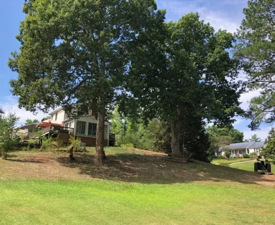 Tree On The Yard - Charles City, VA - Bottoms Bridge Tree Service
