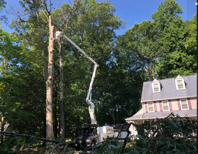 Hydraulic Car Crane On Service - Charles City, VA - Bottoms Bridge Tree Service