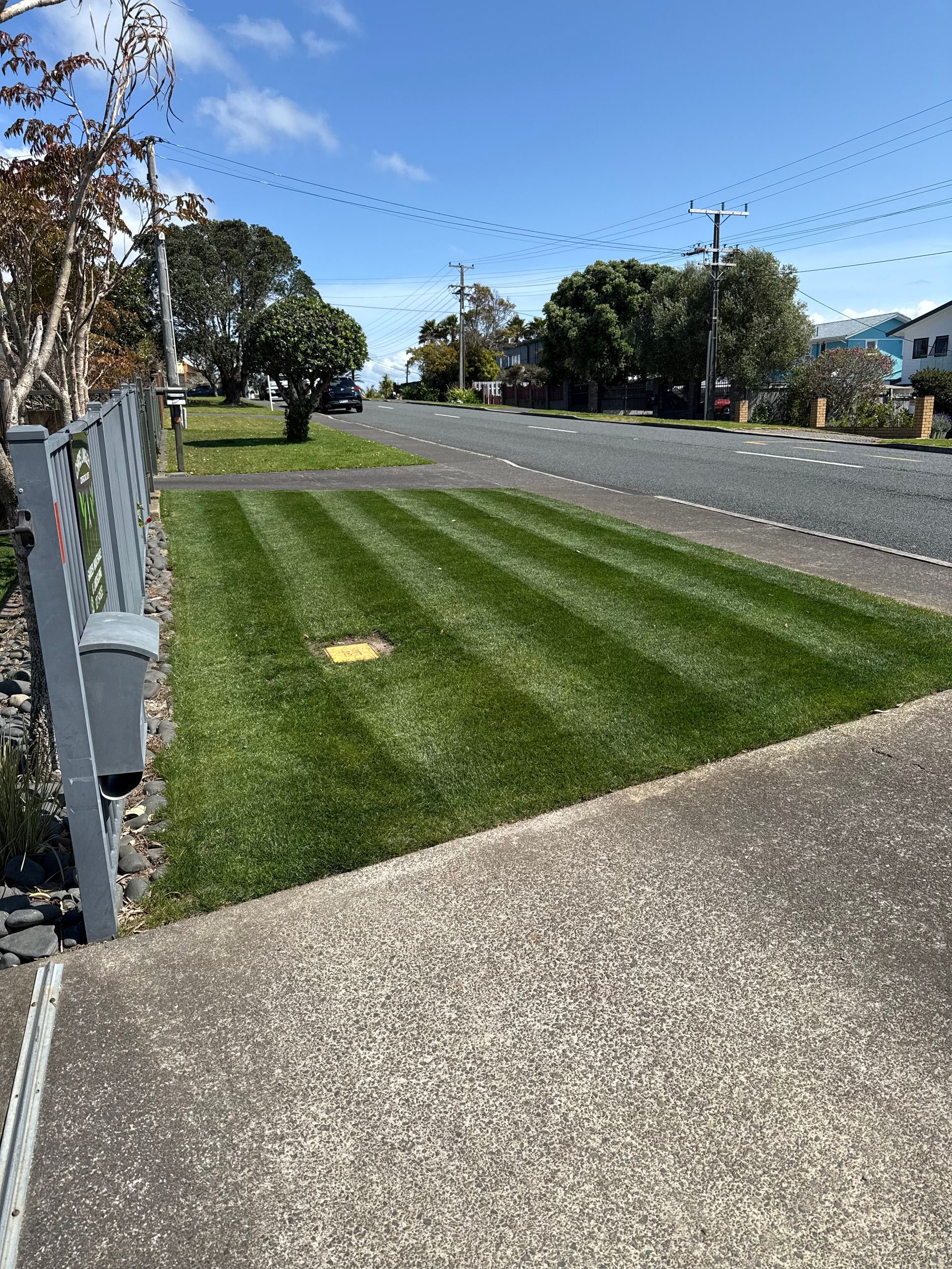 Green lawn striped with fresh cuts, sidewalk, street, blue sky, sunny day.