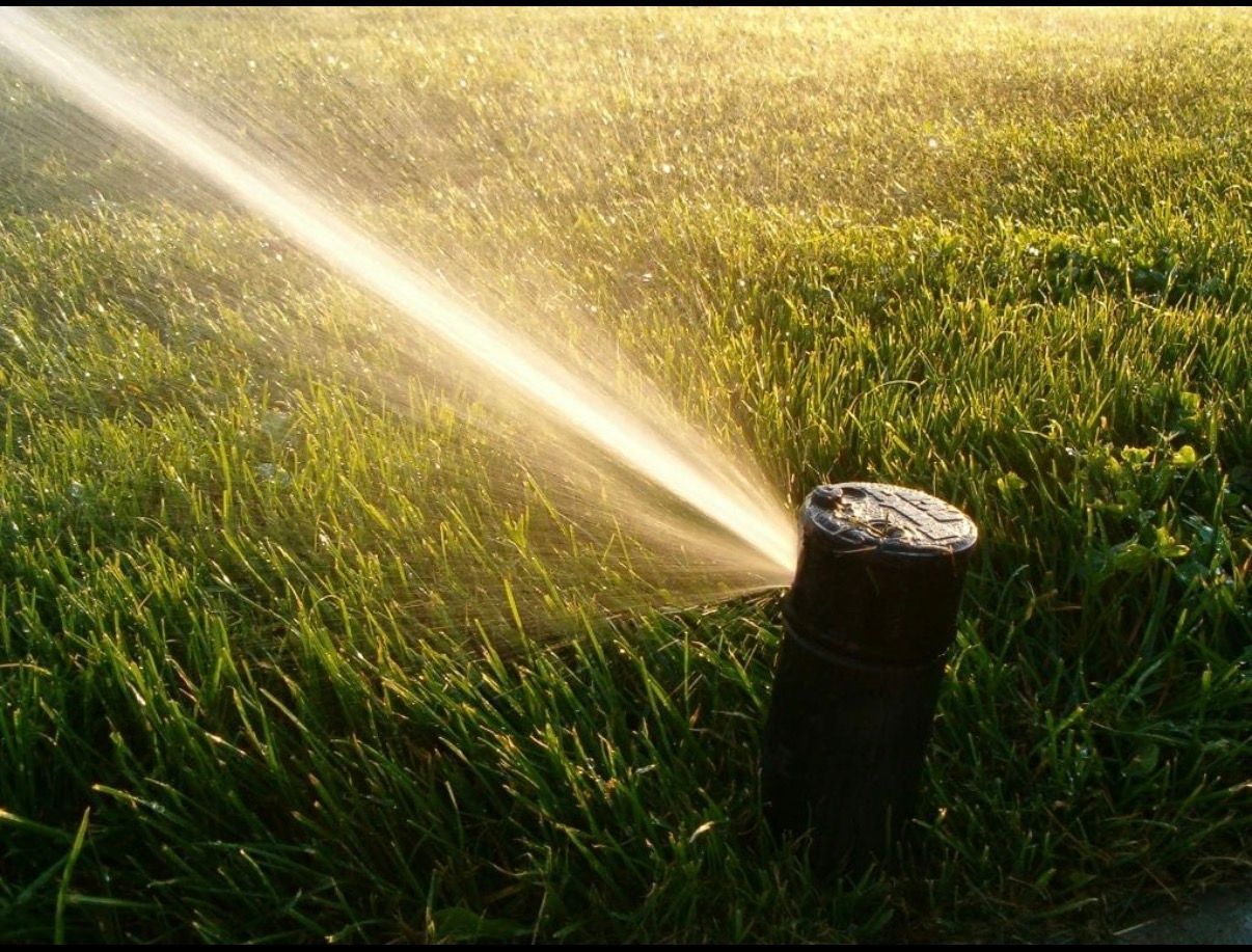 Sprinkler spraying water onto green grass, lit by the sun.